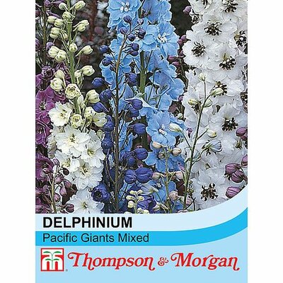 Delphinium 'Pacific Hybrids' Mixed - Image courtesy of T&M