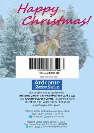 Digital Gift Voucher, Christmas - Full Sample Image