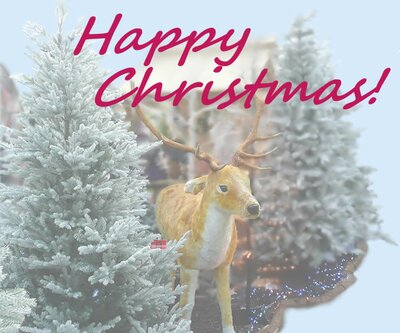 Digital Gift Card Image - 'Happy Christmas'