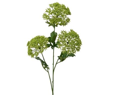 Dill Flower Spray in green