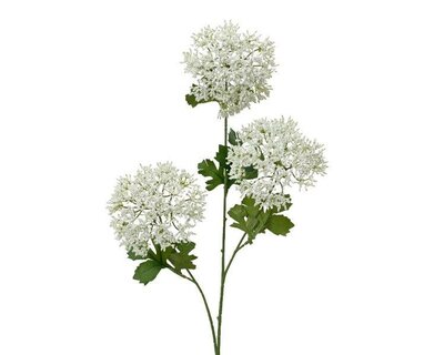 Dill Flower Spray in white