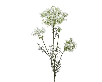 Dill spray