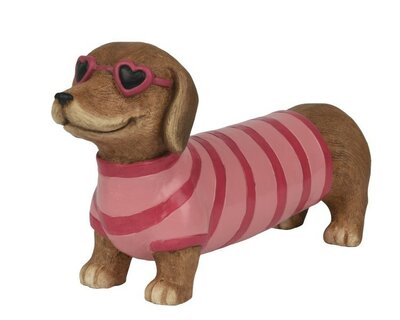 Dog with jumper -Image courtesy of Kaemingk