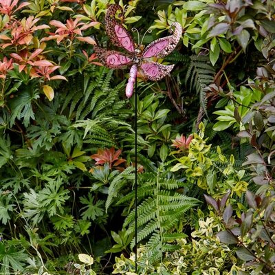 Image courtesy of Smart Garden Products
