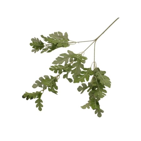 Dusty Miller Spray - Image courtesy of Sage Decor