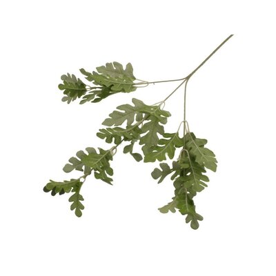 Dusty Miller Spray - Image courtesy of Sage Decor