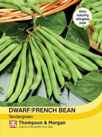 Dwarf Bean Tendergreen - image 1