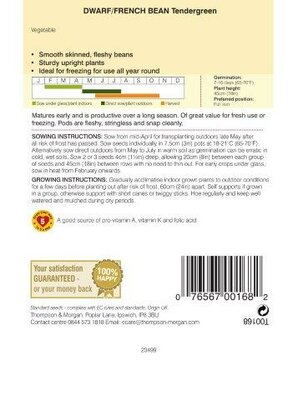 Dwarf Bean Tendergreen - image 2