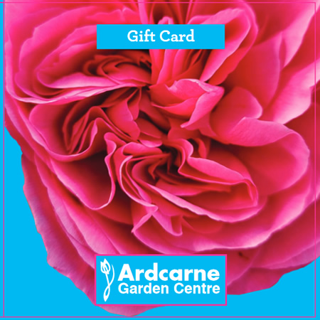 €100 Gift Voucher for Ardcarne Garden Centres and Café