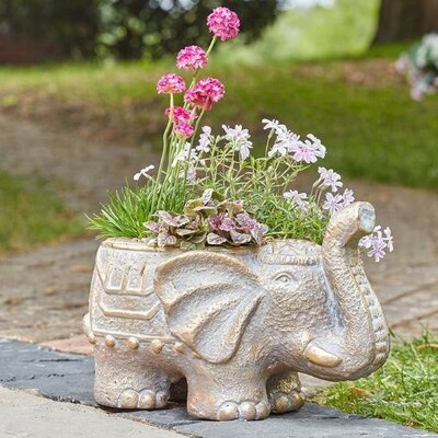 Elephant Planter -Image courtesy of Smart Garden Products