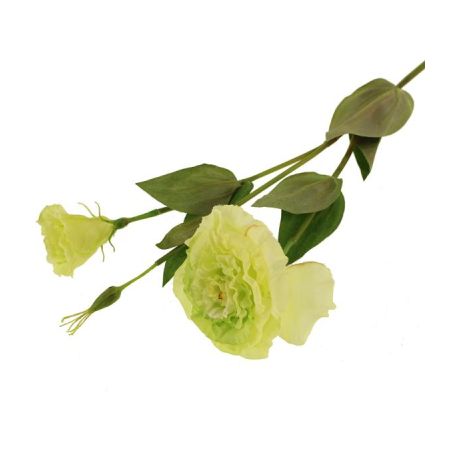 Eustoma Spray