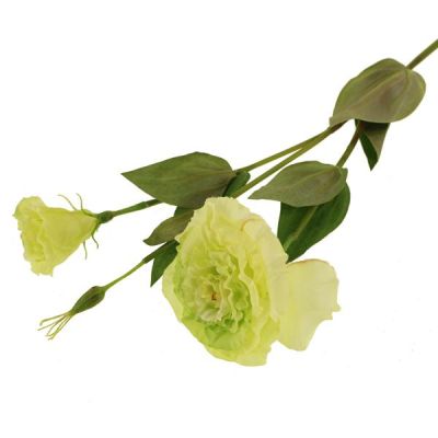 Eustoma Spray