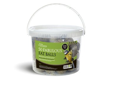 Fat Balls - 50 Tub - No Net - Image courtesy of Tom Chambers