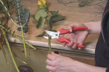 Felco 300 Secateurs -Image courtesy of Unichem