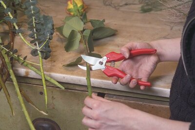 Felco 300 Secateurs -Image courtesy of Unichem
