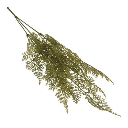 Fern Spray