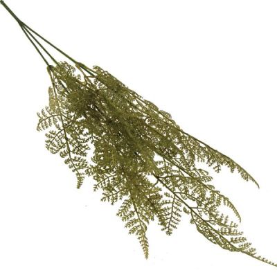 Fern Spray
