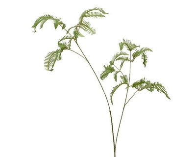 Fern Spray Polyester