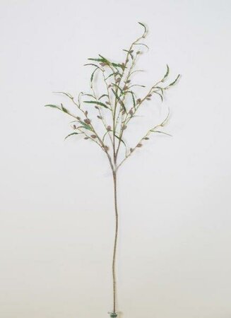 Fortune Fruit Single Branch