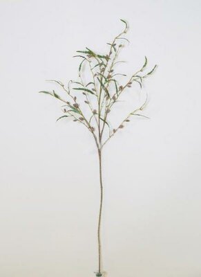 Fortune Fruit Single Branch