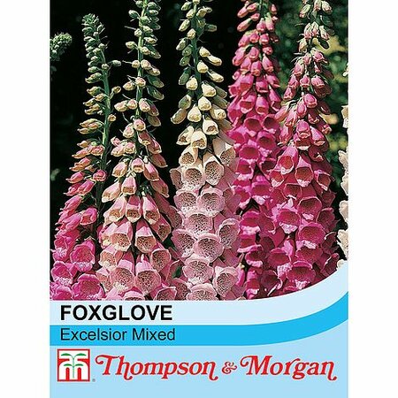 Foxglove 'Excelsior' Hybrids Mixed - Image courtesy of T&M