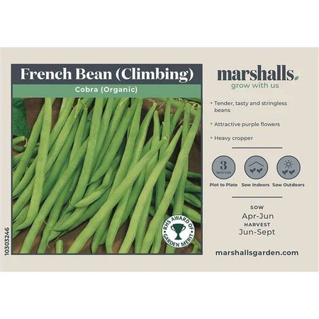 French Bean (Climbing) Cobra (Organic) (25) - image 1