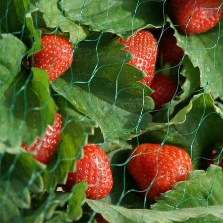 Garden Netting -Image courtesy of Smart Garden Products