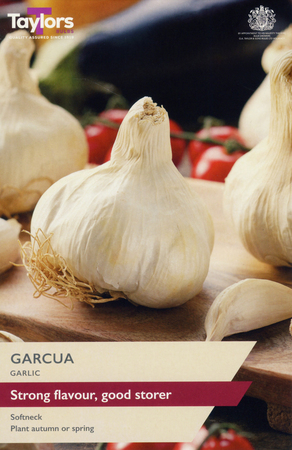 Garlic Garcua - Image courtesy of Taylors Bulbs