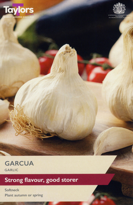 Garlic Garcua - Image courtesy of Taylors Bulbs