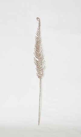 Giant Champagne Fern Spray -Image courtesy of Elmes