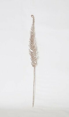 Giant Champagne Fern Spray -Image courtesy of Elmes