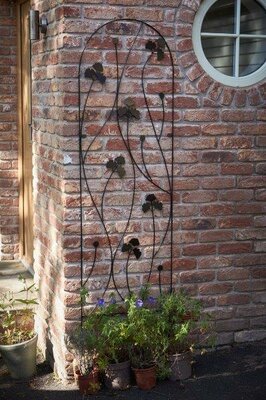 Ginkgo Trellis