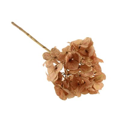 Gold Painted Hydrangea Stem