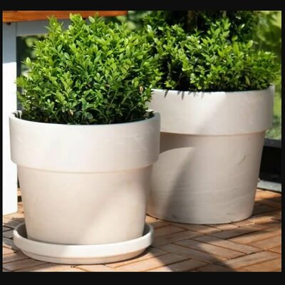 Granite Calima Pot (S)