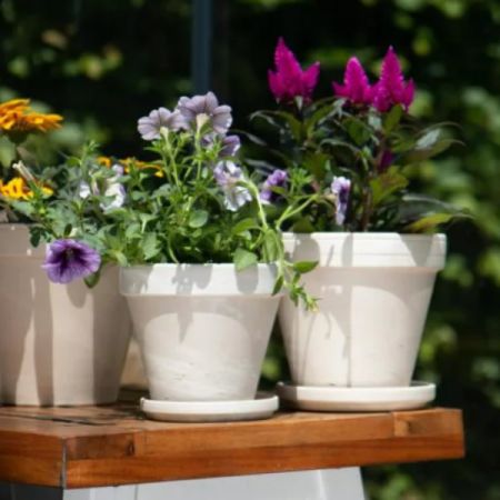 Granite Clay Standard Pot (14cm dia.)