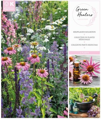'Green Healers' Collection - Image courtesy of Kapiteyn