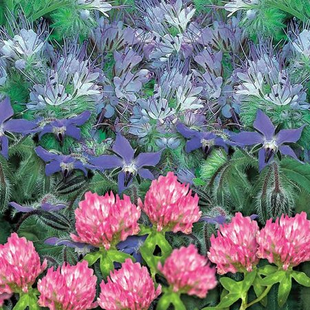 Green Manure Nutrient Rich Mix - image 1