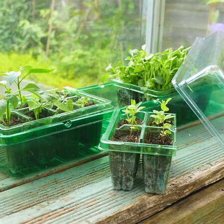 Gro-Sure Windowsill Propagator - image 1