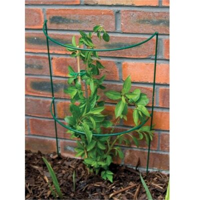 Half Moon Plant Support (66.5cm)