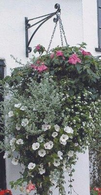 Hanging Basket Bracket Heavy Duty 18”