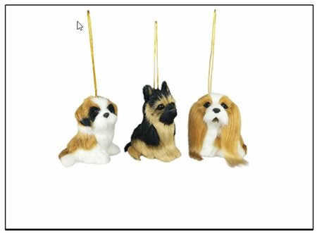 Image courtesy of Hodgewoning