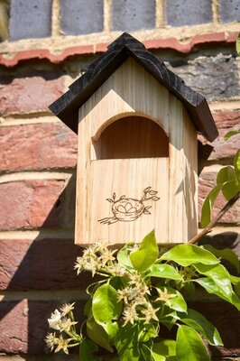 Haven Nest Box -Image courtesy of Tom Chambers