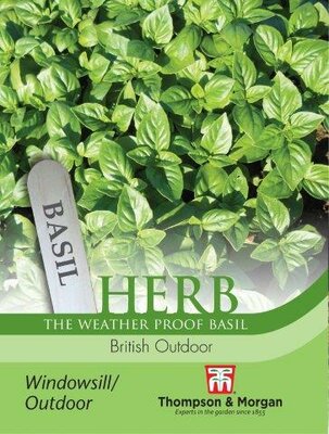 Herb Basil “British Outdoor” - image 1
