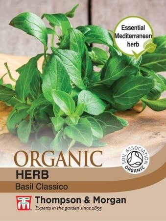 Herb Basil “Classico” Organic - image 1