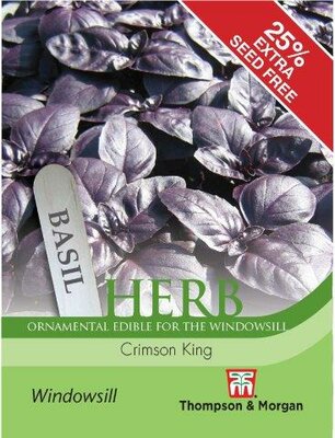 Herb Basil Crimson King - image 2
