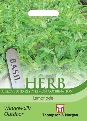 Herb Basil Lemonade - image 1