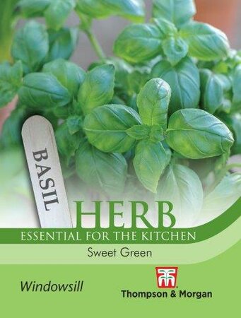 Herb Basil Sweet Green - image 1