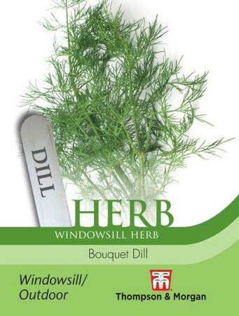 Herb Bouquet Dill - image 1