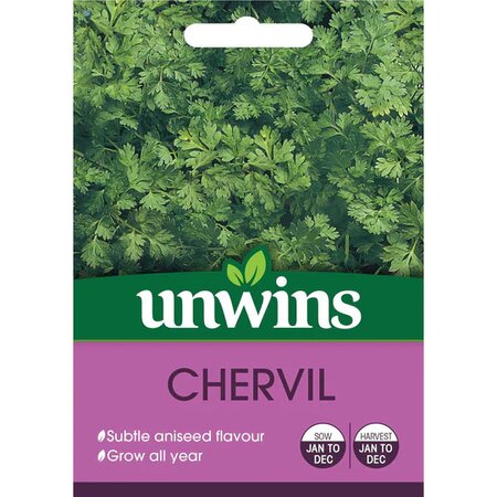 Herb Chervil  (600) - image 1