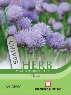 Herb Chives - image 2